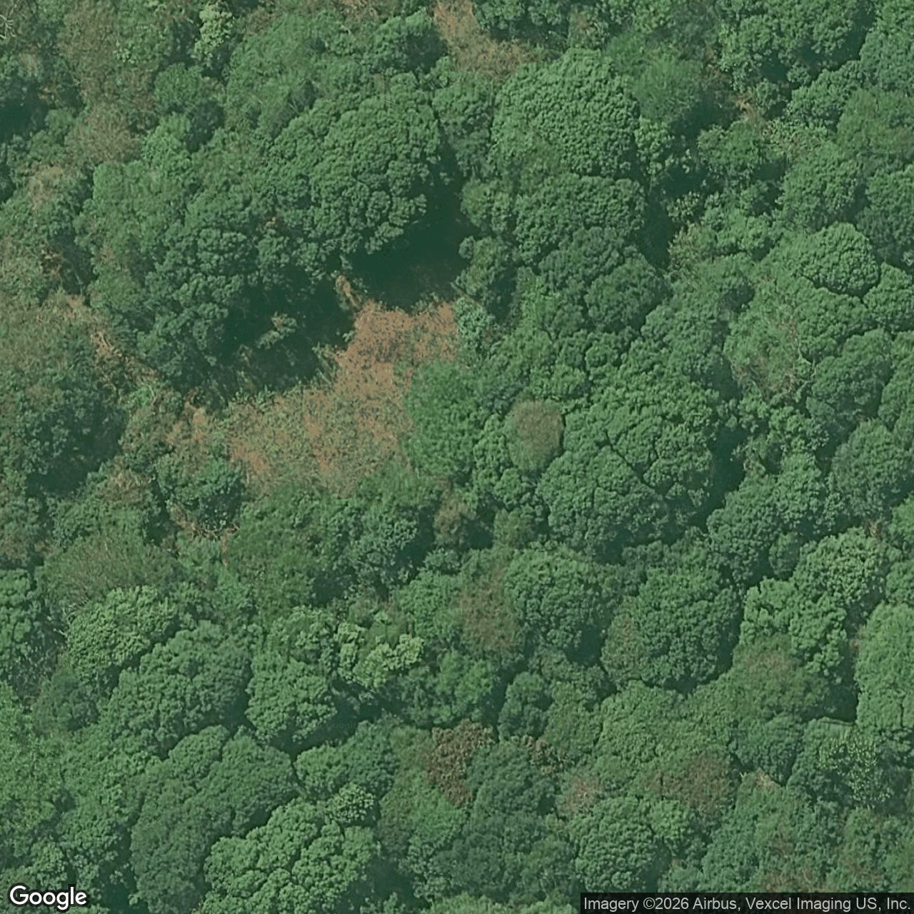 Aerial view of 614 Trees Road, Tallebudgera QLD 4228