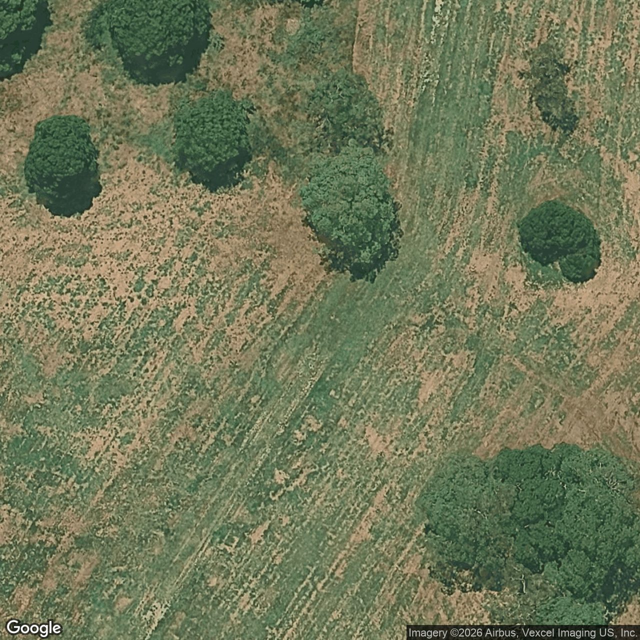 Aerial view of 178 Tallebudgera Creek Road, Tallebudgera QLD 4228