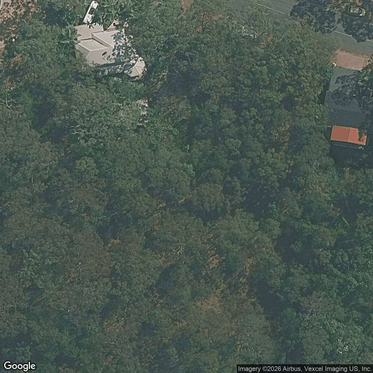 Aerial view of 19 Sullivan Road, Tallebudgera QLD 4228