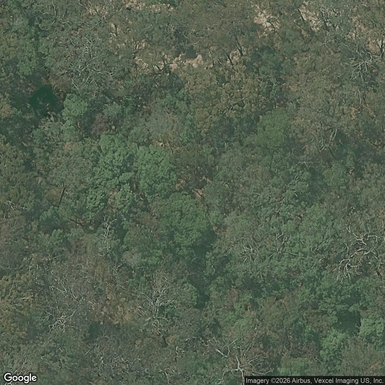 Aerial view of 359 Trees Road, Tallebudgera QLD 4228