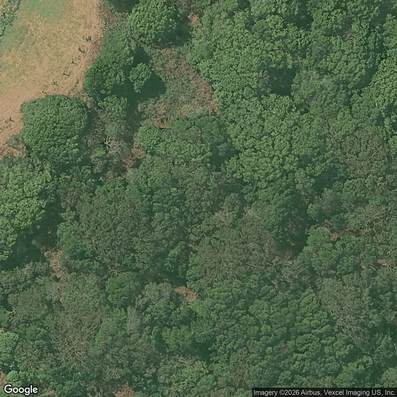 Aerial view of 647 Trees Road, Tallebudgera QLD 4228