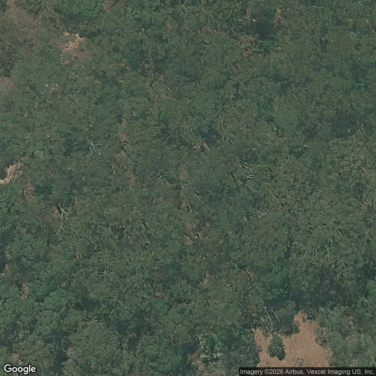 Aerial view of 304 Tallebudgera Creek Road, Tallebudgera Valley QLD 4228