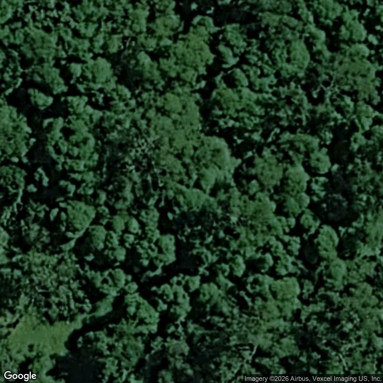 Aerial view of 1422 Tallebudgera Creek Road, Tallebudgera Valley QLD 4228
