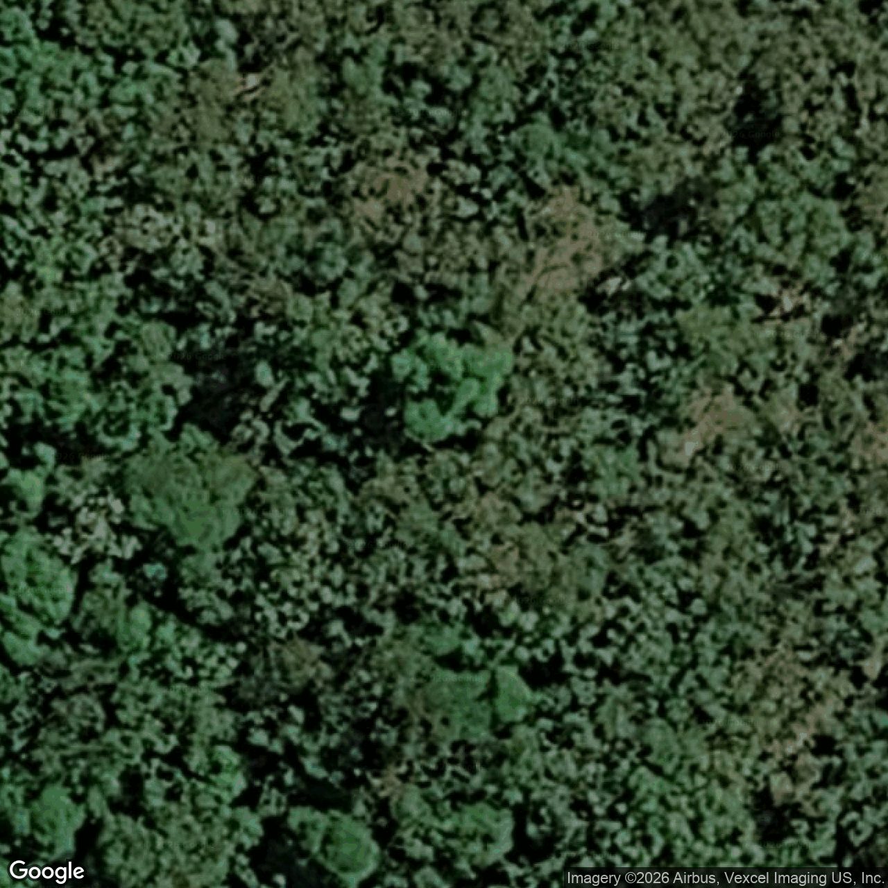 Aerial view of 870 Tallebudgera Creek Road, Tallebudgera Valley QLD 4228
