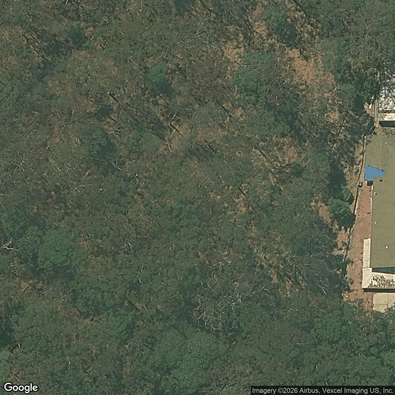 Aerial view of 544 Tallebudgera Creek Road, Tallebudgera Valley QLD 4228