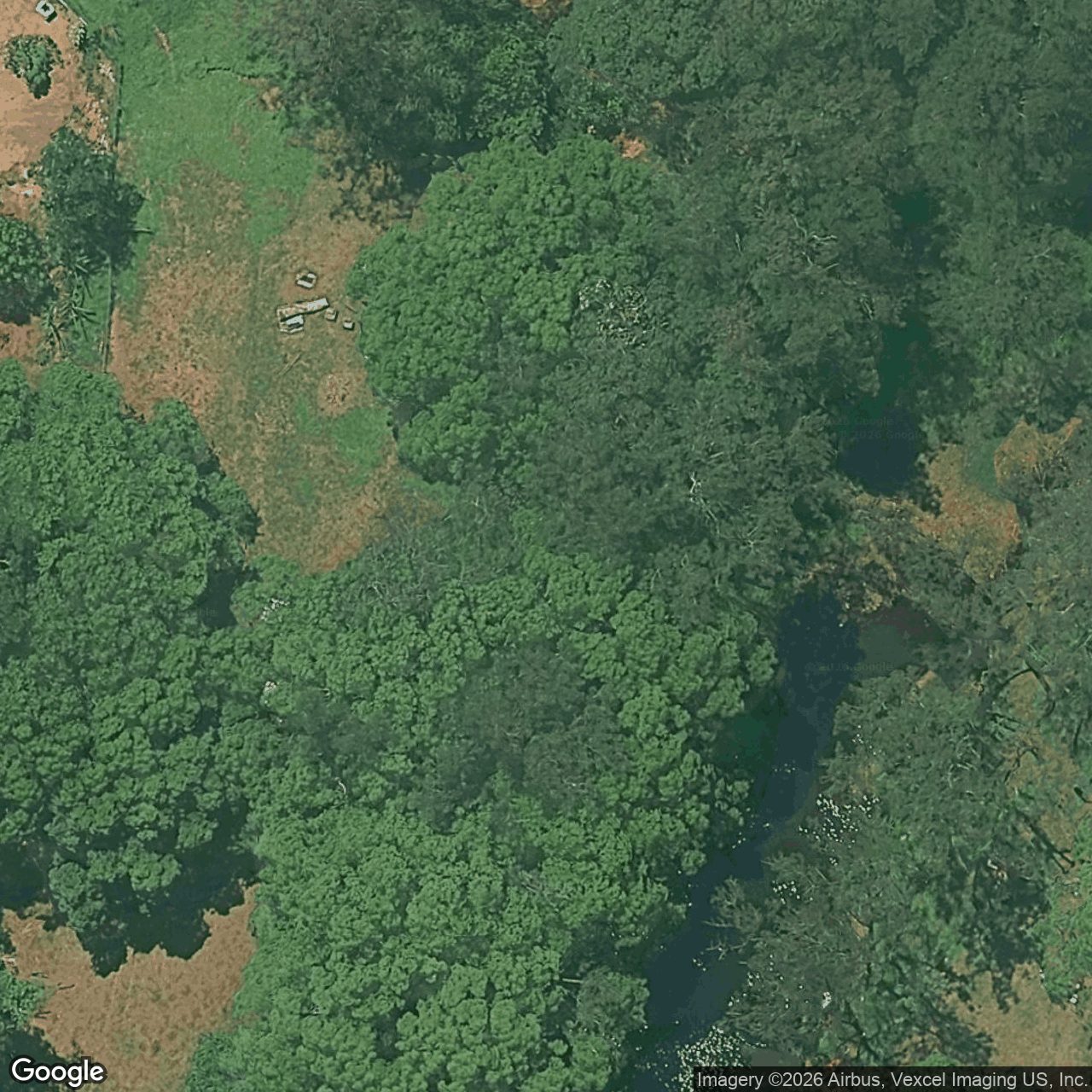 Aerial view of 565 Tallebudgera Creek Road, Tallebudgera Valley QLD 4228