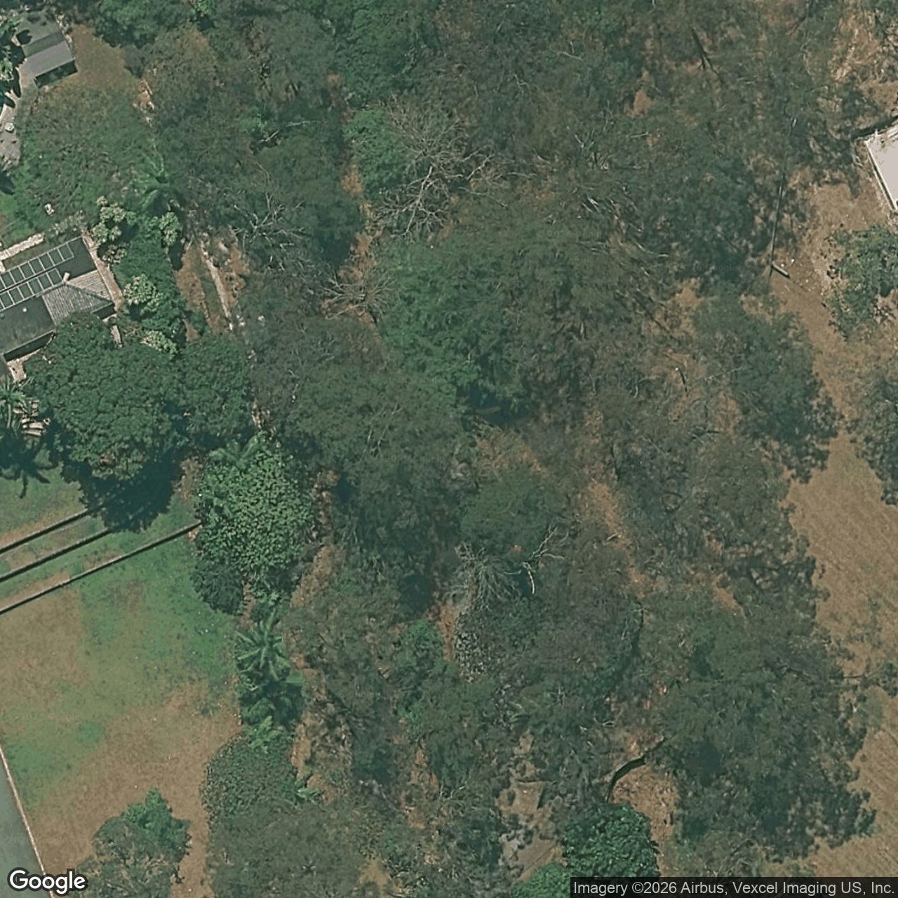 Aerial view of 7 Yarraman Place, Tallebudgera Valley QLD 4228