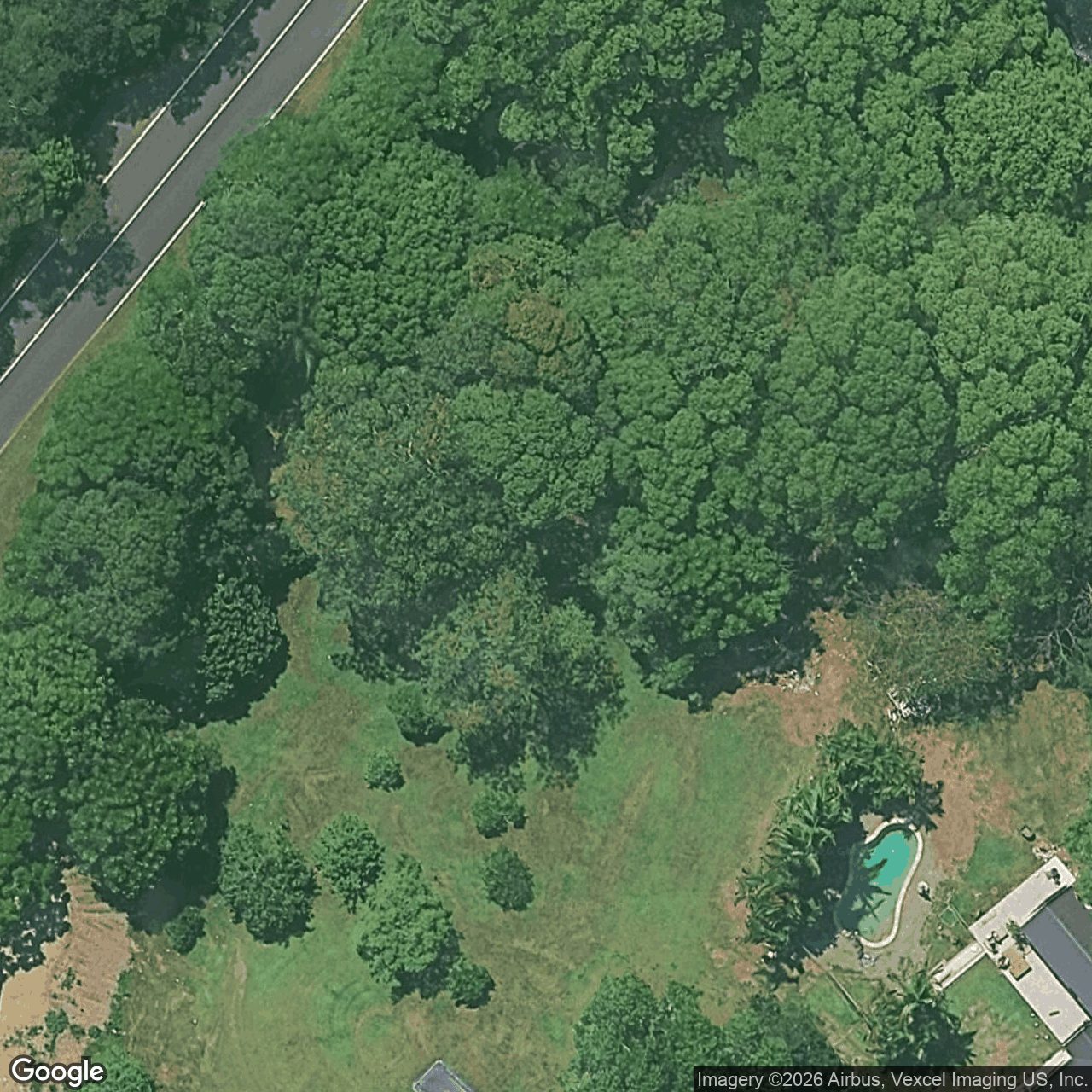 Aerial view of 599 Tallebudgera Creek Road, Tallebudgera Valley QLD 4228
