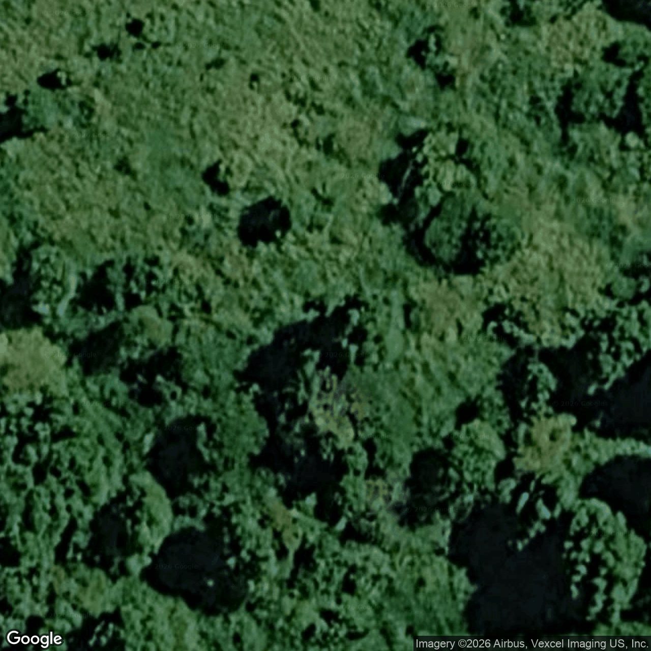 Aerial view of 433 Petsch Creek Road, Tallebudgera Valley QLD 4228