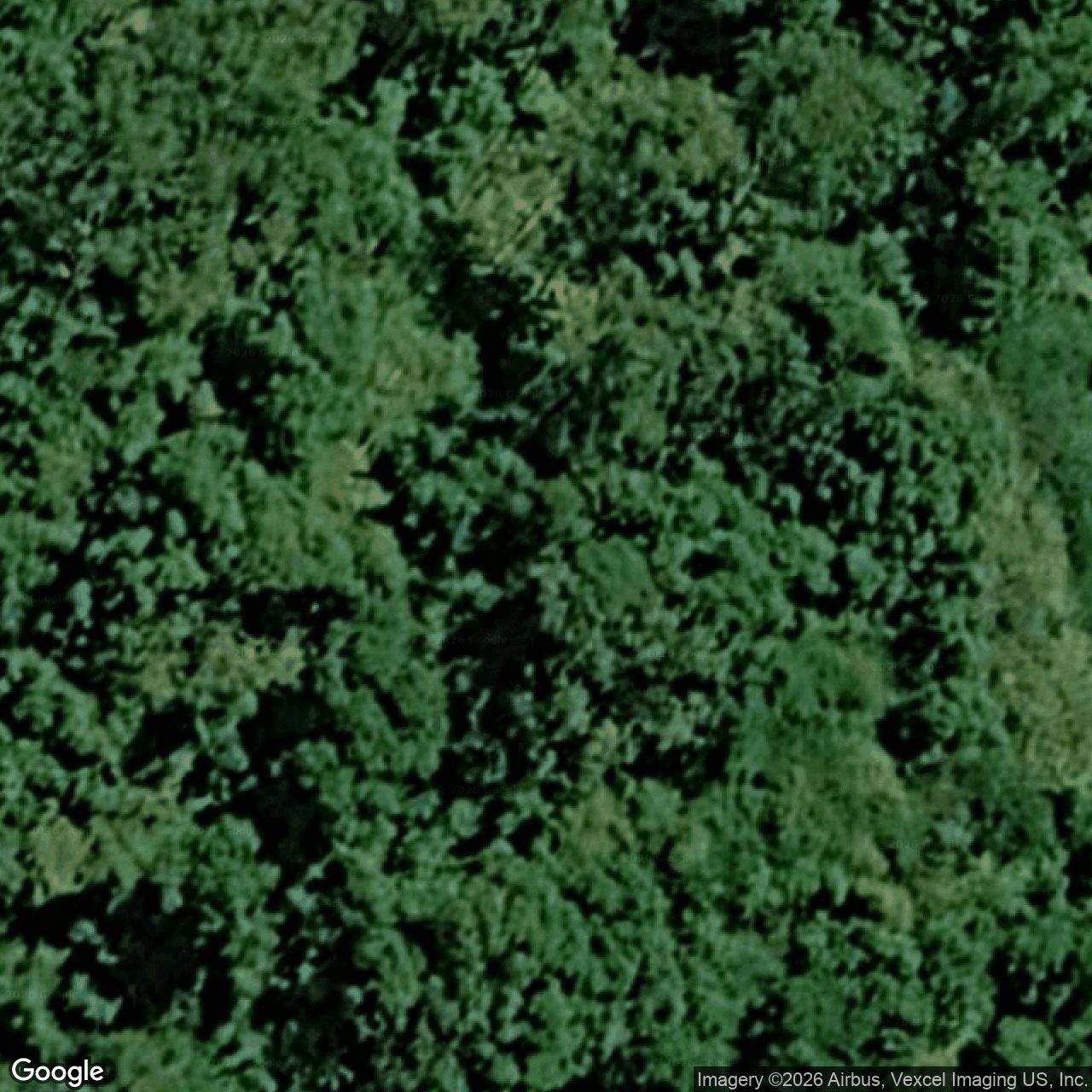 Aerial view of 438 Petsch Creek Road, Tallebudgera Valley QLD 4228