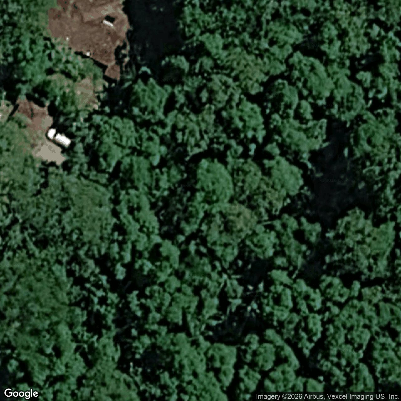 Aerial view of 1173 Tallebudgera Creek Road, Tallebudgera Valley QLD 4228