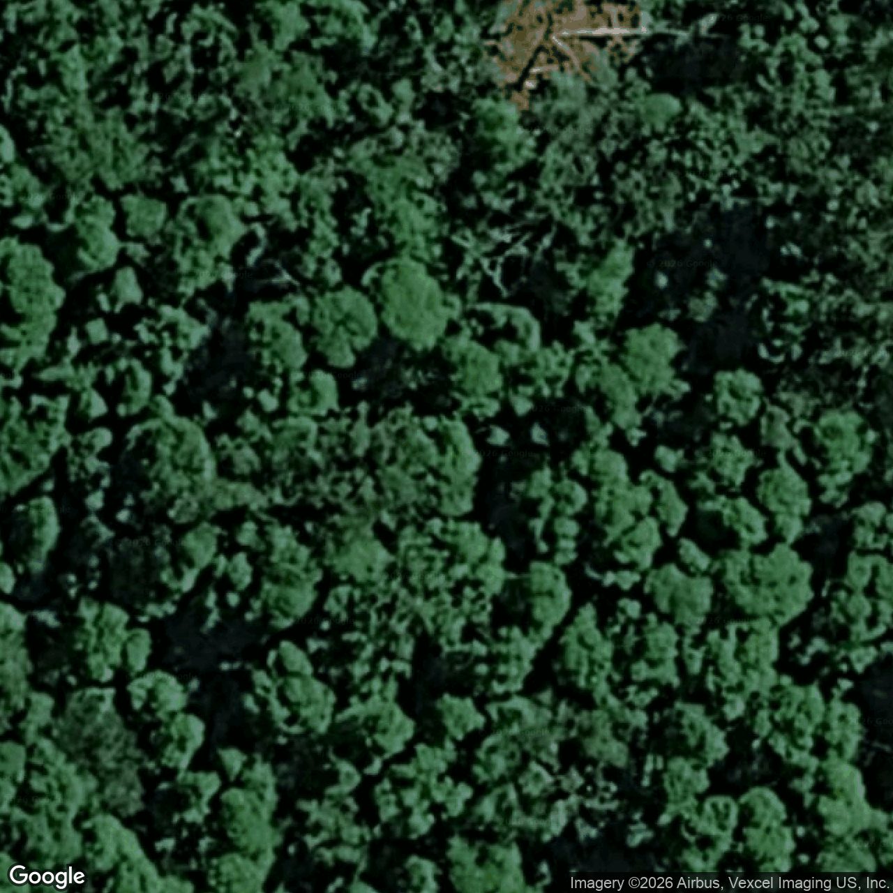 Aerial view of 131 Dalton Road, Tallebudgera Valley QLD 4228