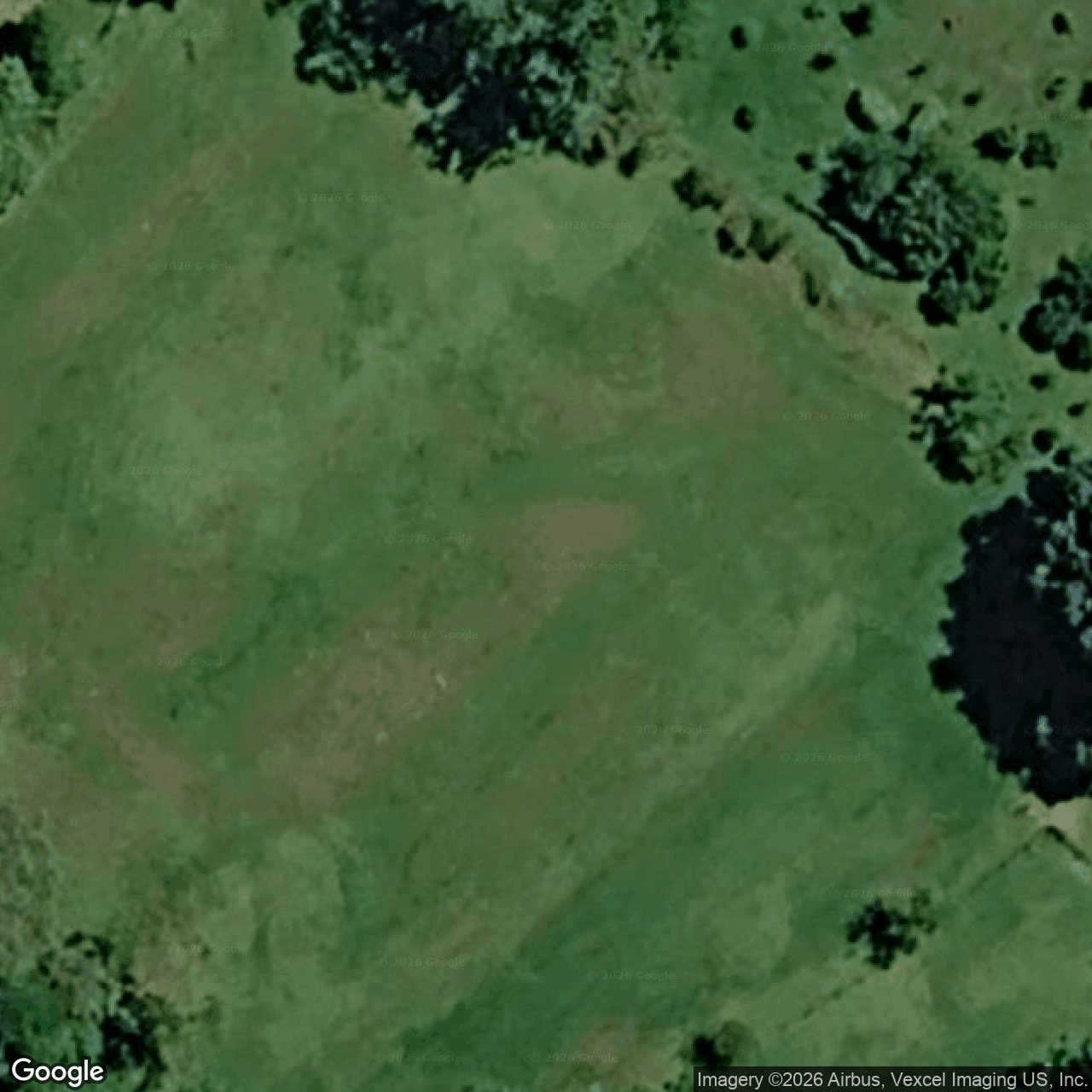 Aerial view of 976 Tallebudgera Creek Road, Tallebudgera Valley QLD 4228