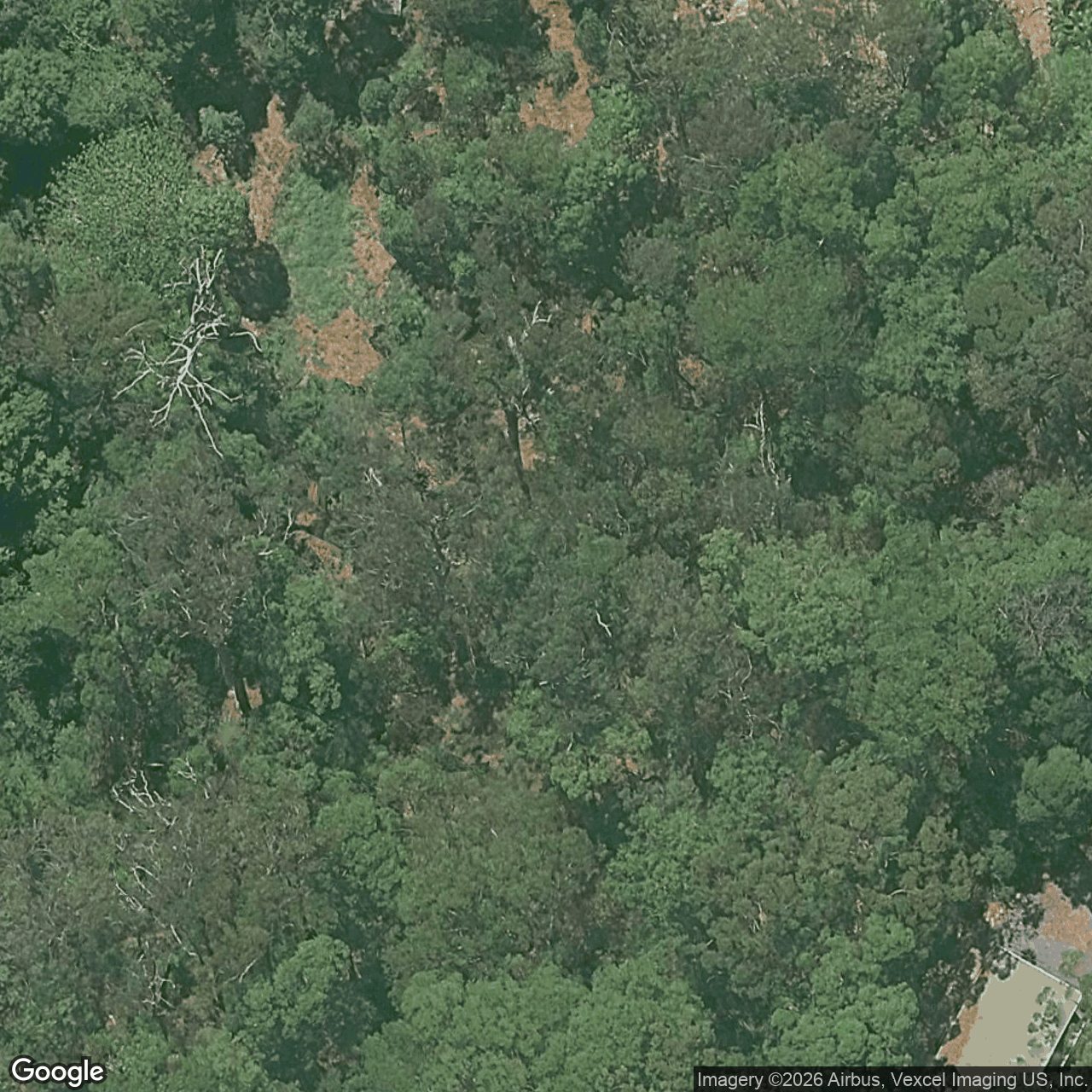 Aerial view of 100 Nancol Drive, Tallebudgera Valley QLD 4228