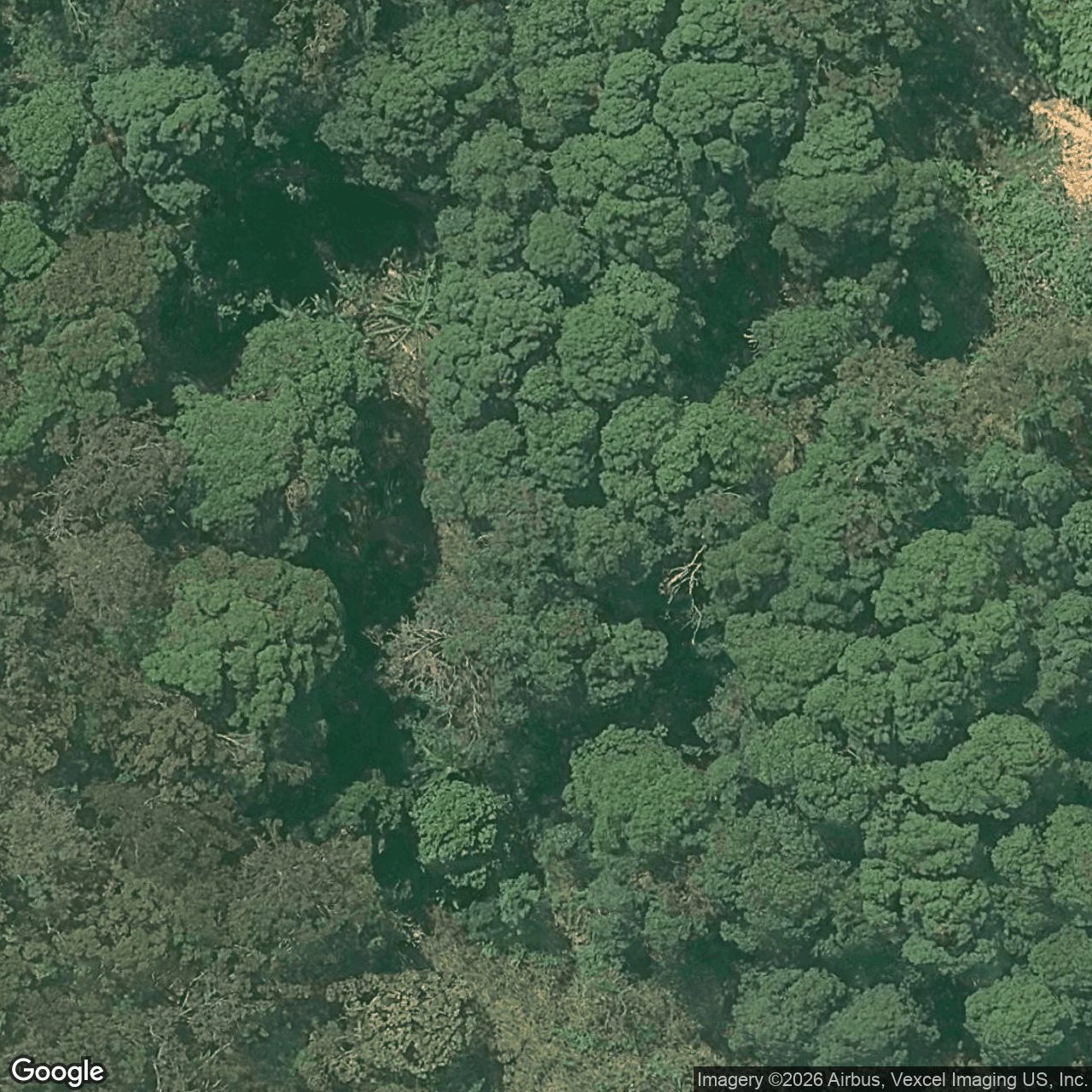 Aerial view of 91 Nancol Drive, Tallebudgera Valley QLD 4228