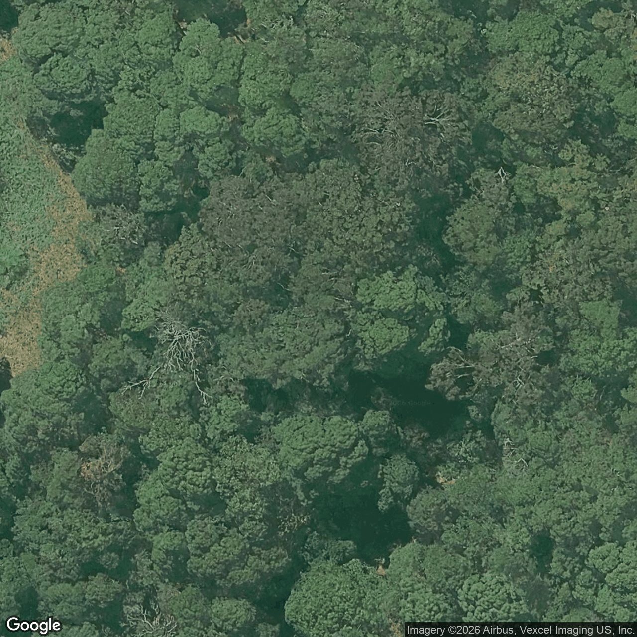 Aerial view of 57 Nancol Drive, Tallebudgera Valley QLD 4228