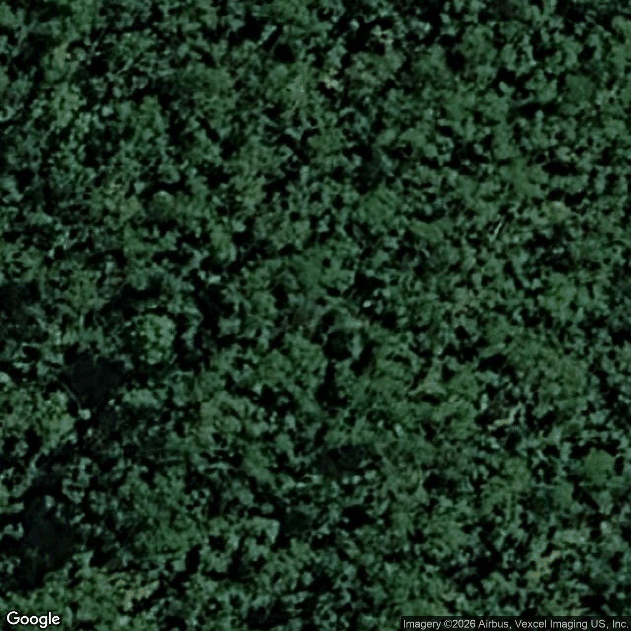 Aerial view of 258 Petsch Creek Road, Tallebudgera Valley QLD 4228