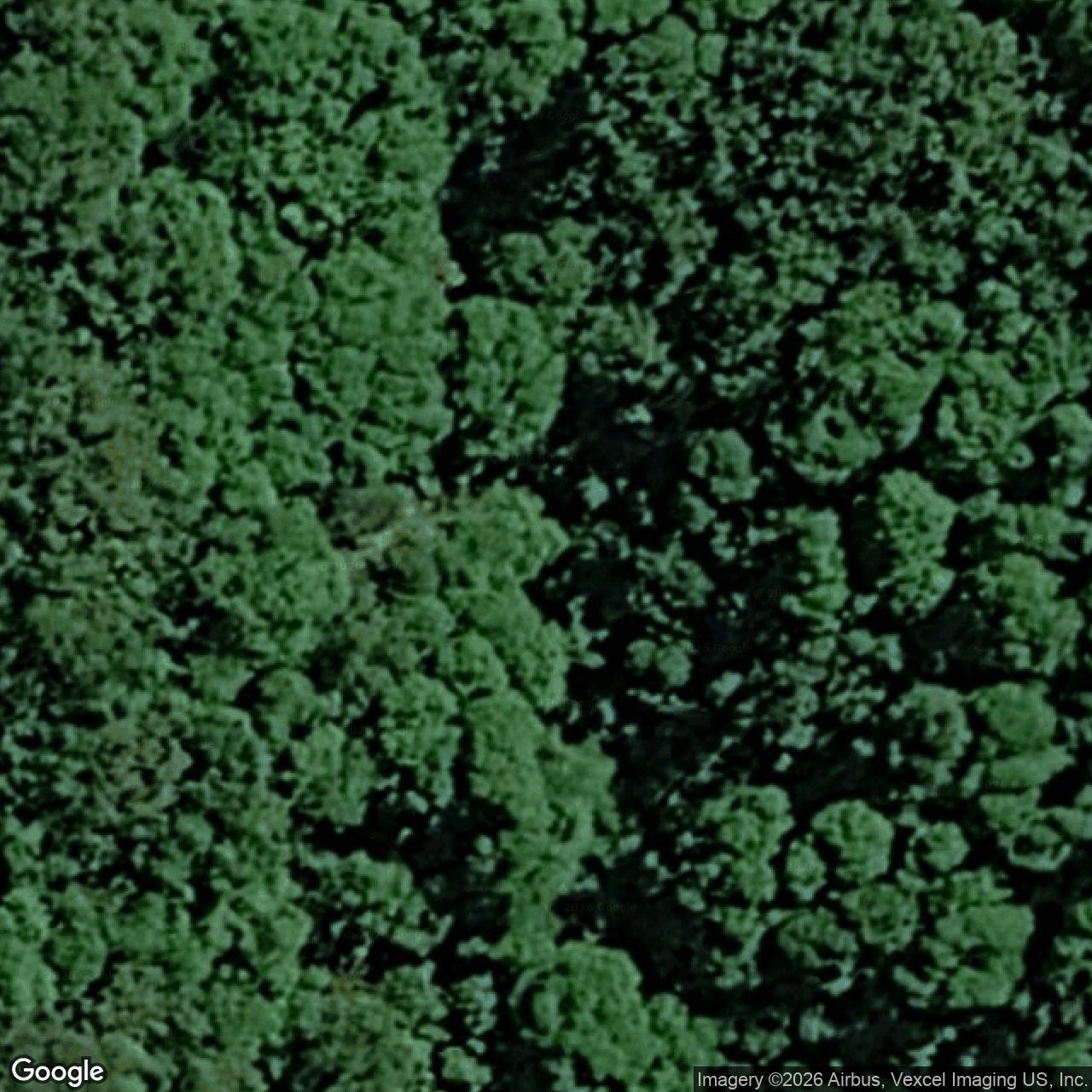 Aerial view of 256 Petsch Creek Road, Tallebudgera Valley QLD 4228