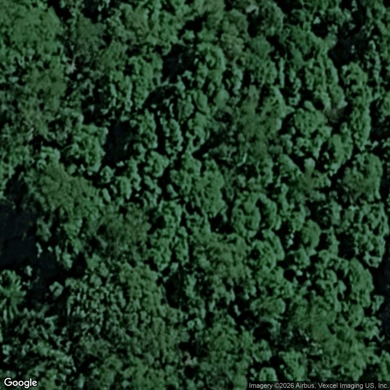 Aerial view of 1407 Tallebudgera Creek Road, Tallebudgera Valley QLD 4228