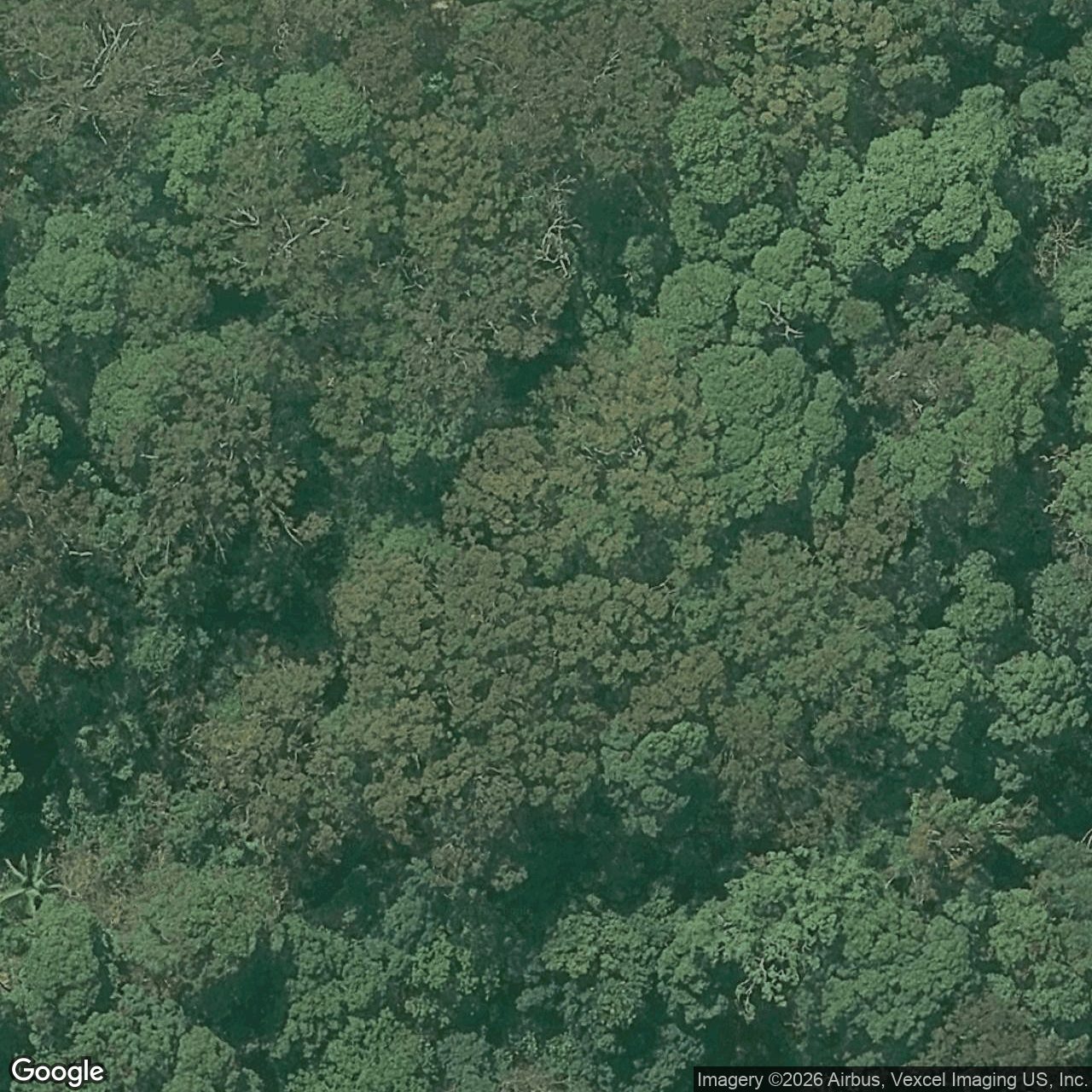 Aerial view of 98 Nancol Drive, Tallebudgera Valley QLD 4228