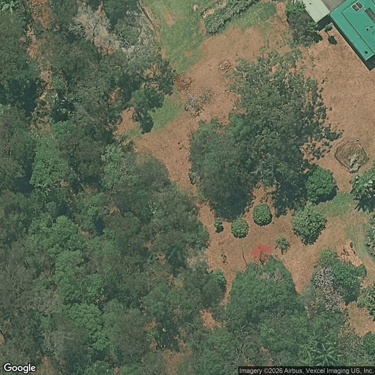 Aerial view of 56 Monday Drive, Tallebudgera Valley QLD 4228