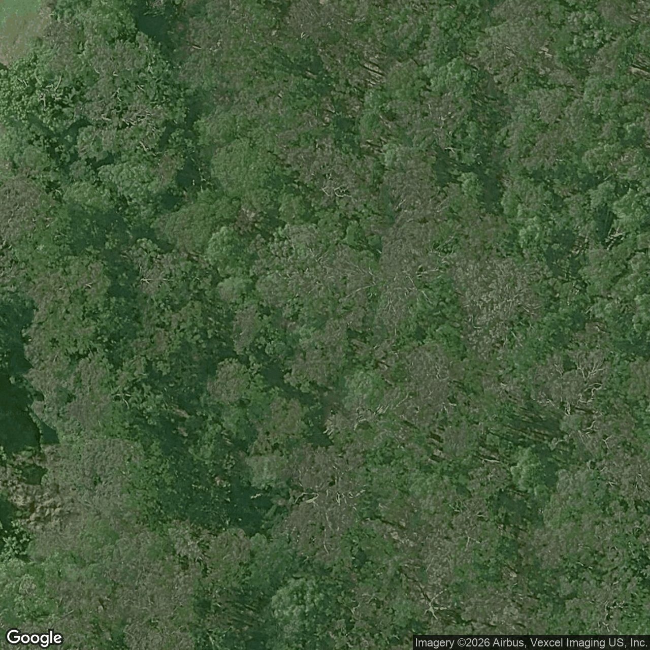 Aerial view of 52 Harry Mills Drive, Worongary QLD 4213
