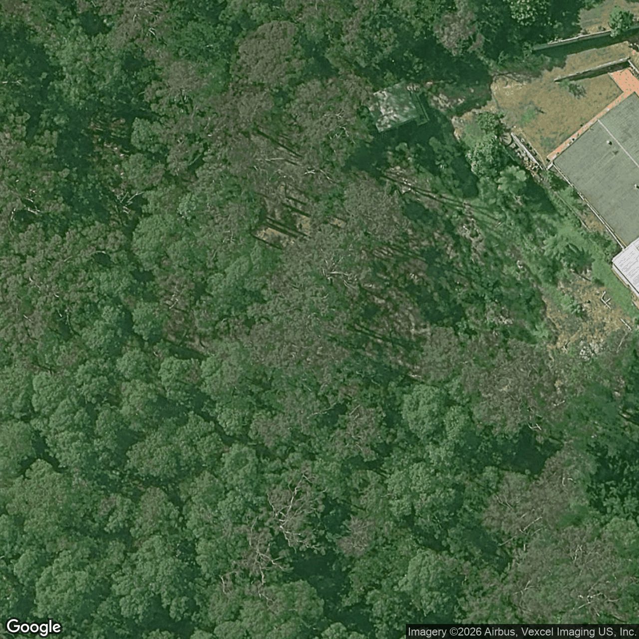 Aerial view of 21 Thomas Duncan Court, Worongary QLD 4213